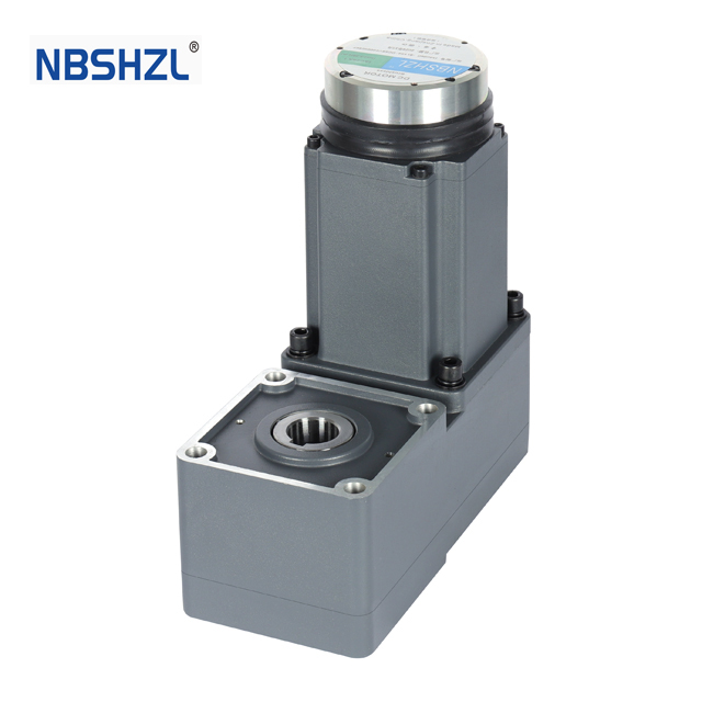 R-Type Geared Motors