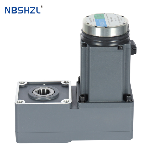 R-Type Geared BLDC Motors