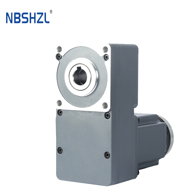 R-Type Geared BLDC Motors