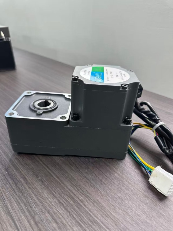 L-Type Geared Motors