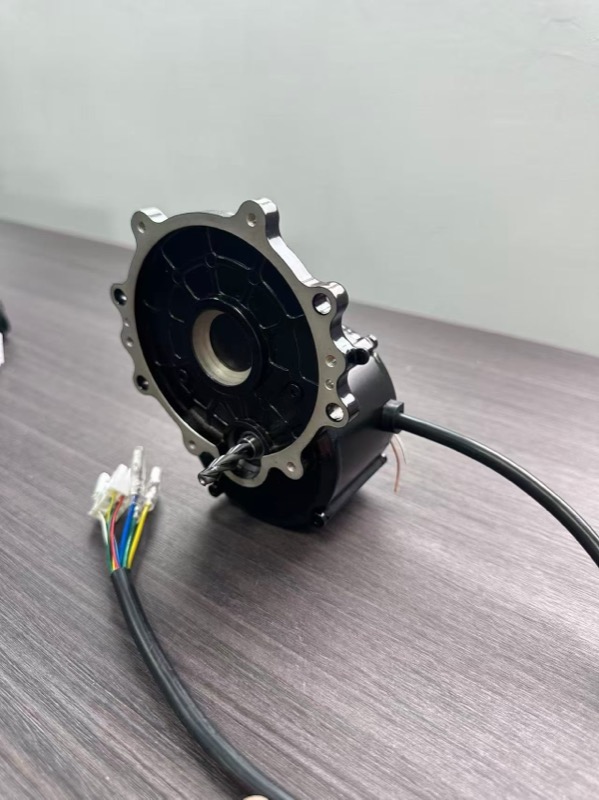 Planetary Gear Motors